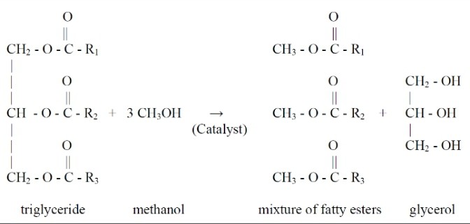 Transesterification Process (Mustapha et al., 2024)