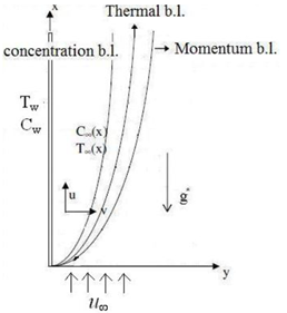 Physical model and coordinate system