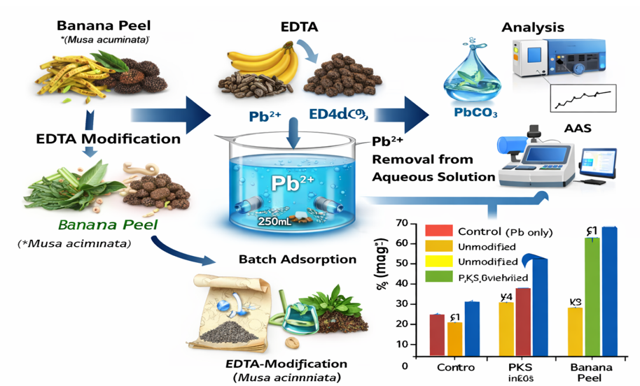 Experimental Workflow