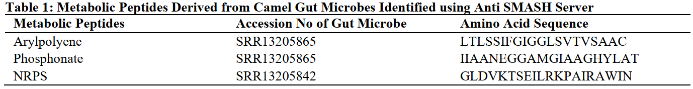 Metabolic Peptides Derived from Camel Gut Microbes Identified using Anti SMASH Server