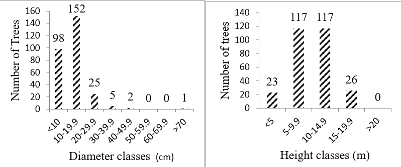 Diameter (cm) and Height (m) Classes