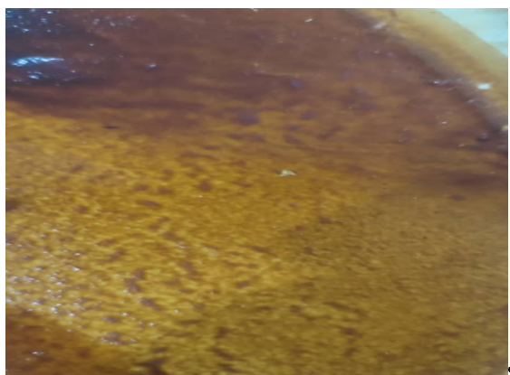 Extracts of Azanza garckeana