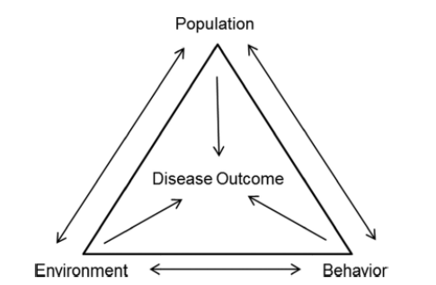 Disease Ecology Model Illustrating Climate-mediated Measles Transmission Pathways. Adapted from Messina (2011)