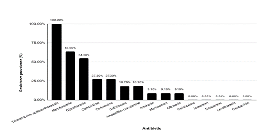 Antibiotic Susceptibility Testing Pattern