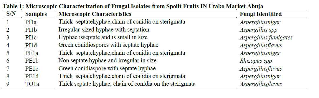 Microscopic Characterization of Fungal Isolates from Spoilt Fruits IN Utako Market Abuja