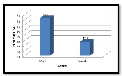 Gender of the Workers