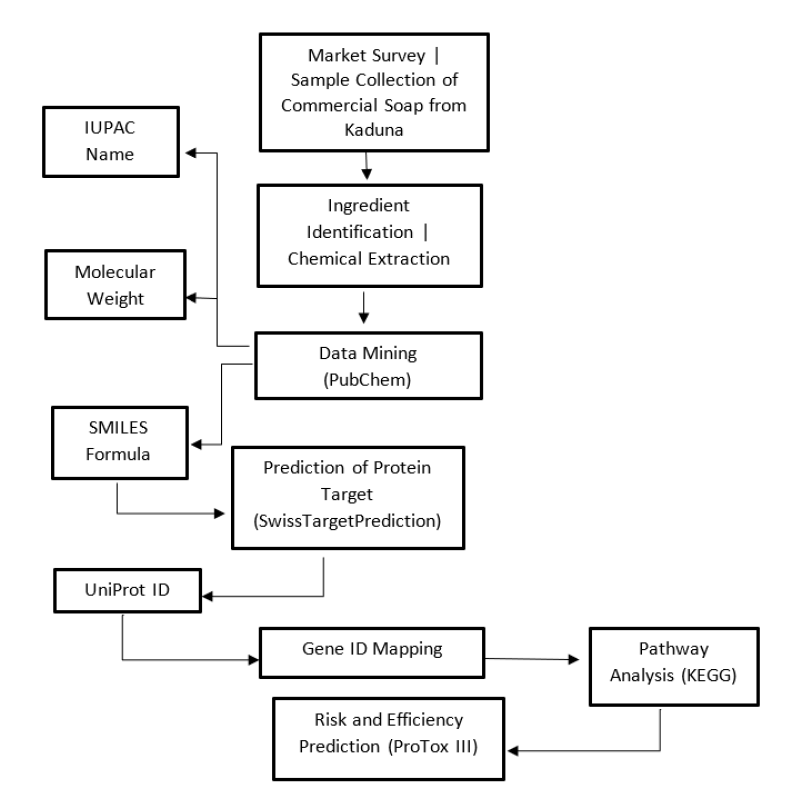 Computational Workflow for Evaluating the Effects of Commercial Soap Ingredients on Human Melanogenesis Pathways