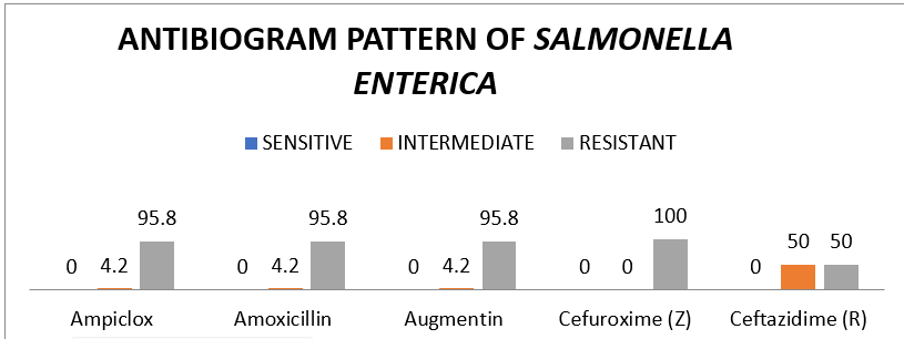 Bar Chart on Sensitivity and Resistance Patterns of Salmonella enterica in Percentage (n=24)