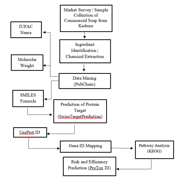 Computational Workflow for Evaluating the Effects of Commercial Soap Ingredients on Human Melanogenesis Pathways