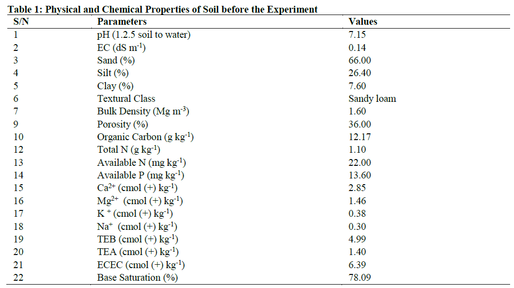 Physical and Chemical Properties of Soil before the Experiment
