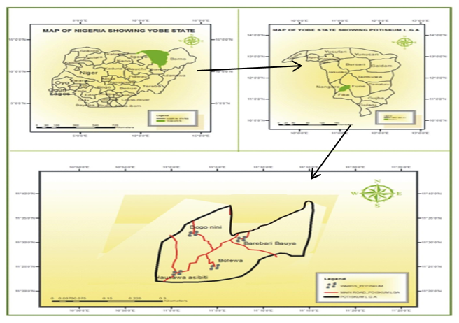Map of Potiskum L.G. A Showing the Study Area