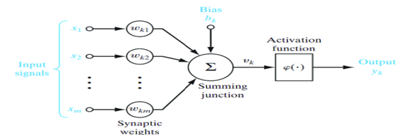 Nonlinear Model of a Neuron (Ojo & Udomboso, 2021)