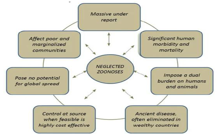 Basic Features of Neglected Zoonotic Diseases (Rahman et al., 2020)