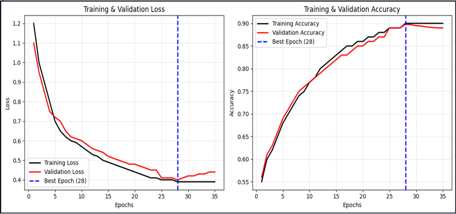 Training and Validation Accuracy and Loss Curves