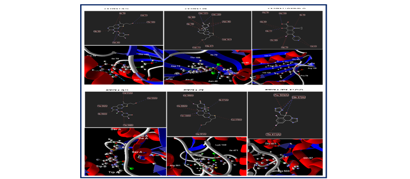 Showing the 2D and 3D Visualization for the Interaction of the Test Complexes and the Standard Drugs against the Target Proteins 1KZN and 5TZ1