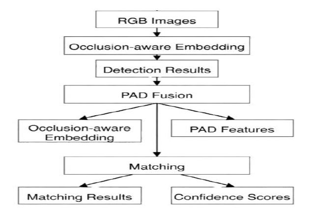 Architecture of the Developed Lightweight Deep Learning Model (Starting from the Input RGB Frame After Deleting the Redundant Detection Box)