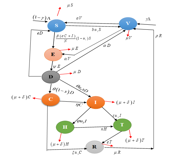 Schematic Diagram of the Model