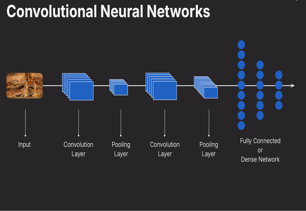 Structural Components of Convolutional Neural Networks (Jihado et al., 2024)