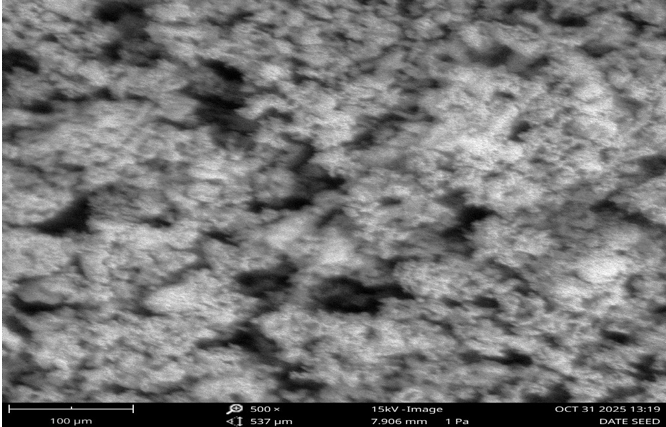 SEM Analysis of DSA at 500 Magnification