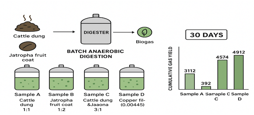 Graphical Abstract