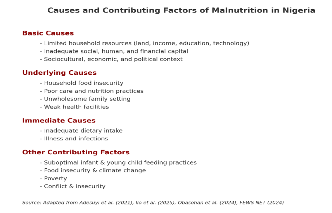 Summary of the causes and contributing factors of malnutrition in Nigeria