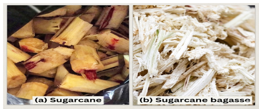 Biomass Physical Transformation: (a) Sugarcane Feedstock and (b) Sugarcane Bagasse Following Juice Extraction, Before Carbonization