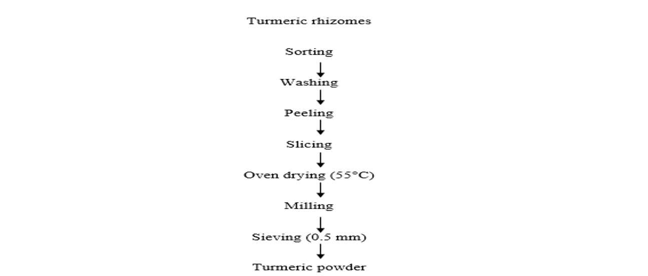 Turmeric Powder Production