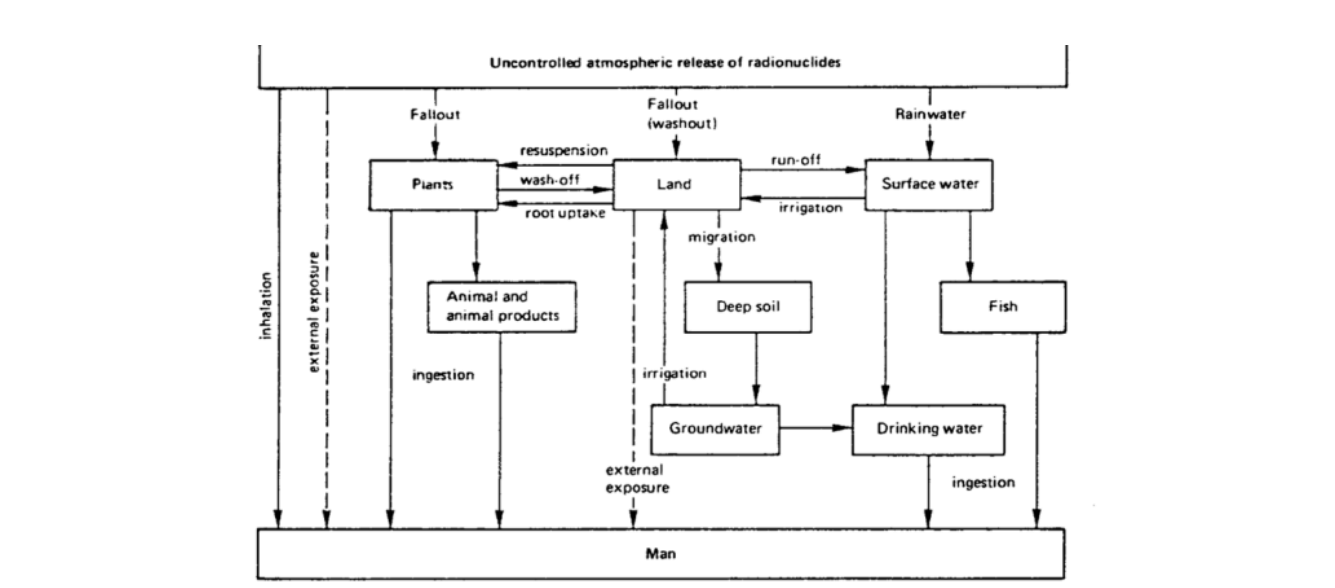 Major Pathways of Radionuclides to Man In The Event Of an Uncontrolled Release of Radioactivity (IAEA, 1989)