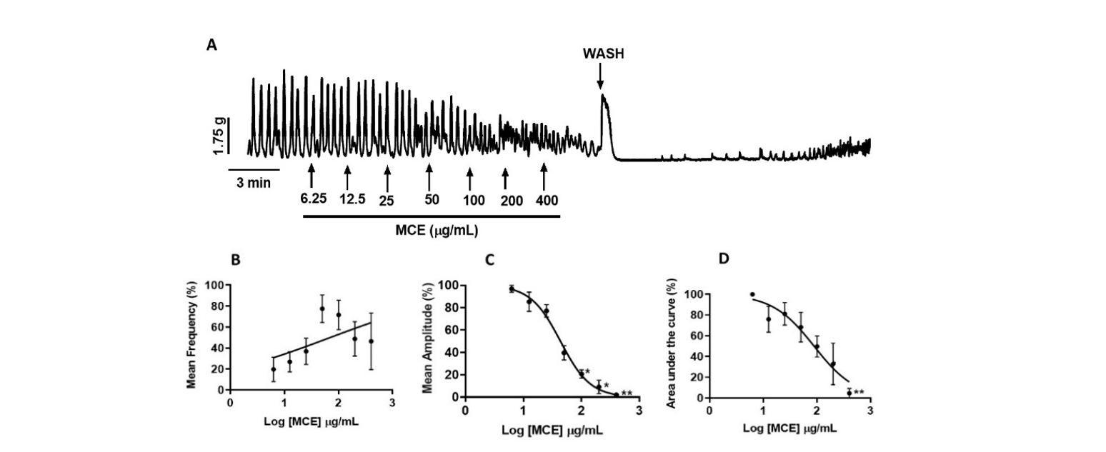 Effect of MCE on spontaneous uterine contractions in non-pregnant mice. (A) Representative recording showing the effect of MCE (6.25 – 400 μg/mL) on spontaneous contractions. (B - D) Concentration-response curves illustrating the effects of MCE on contraction frequency, amplitude, and overall activity (AUC). Values are expressed as mean ± SEM; n = 5 animals. *P < 0.05, **P < 0.01