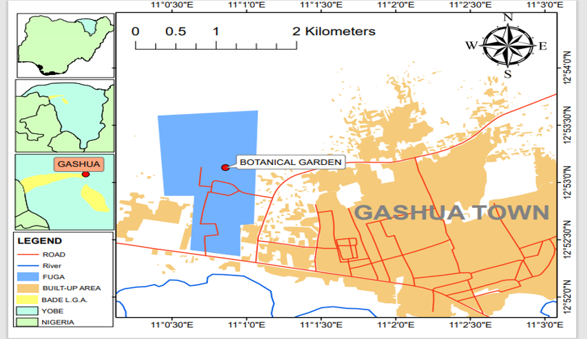 Location of Study Area (sources: Department of Geography Federal University Gashua)