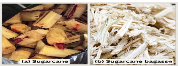 Biomass Physical Transformation: (A) Sugarcane Feedstock And (B) Sugarcane Bagasse Following Juice Extraction, Before Carbonization