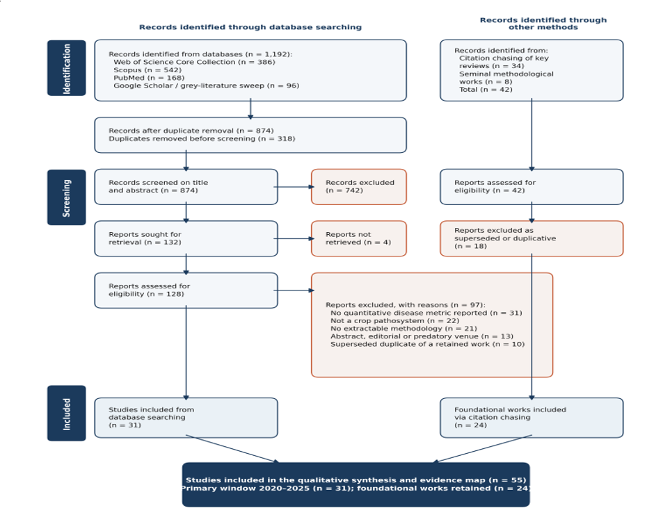 PRISMA 2020 flow diagram for the identification, screening, eligibility assessment and inclusion of studies. Records identified through database searching (left) and through citation chasing of key reviews (right) are reported separately, as PRISMA 2020 requires. The full screening decision log is provided as Supplementary File S1