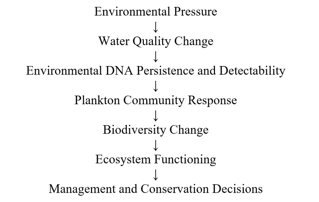 Conceptual Framework
