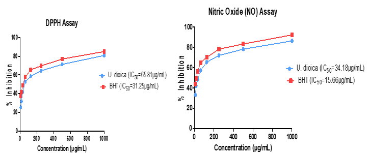 DPPH = 2,2-diphenyl-1-picrylhydrazyl; NO = Nitric oxide