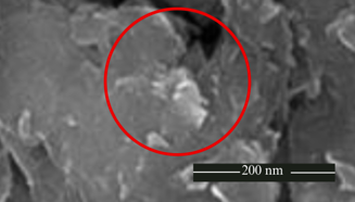 SEM image of Graphene Oxide Sample