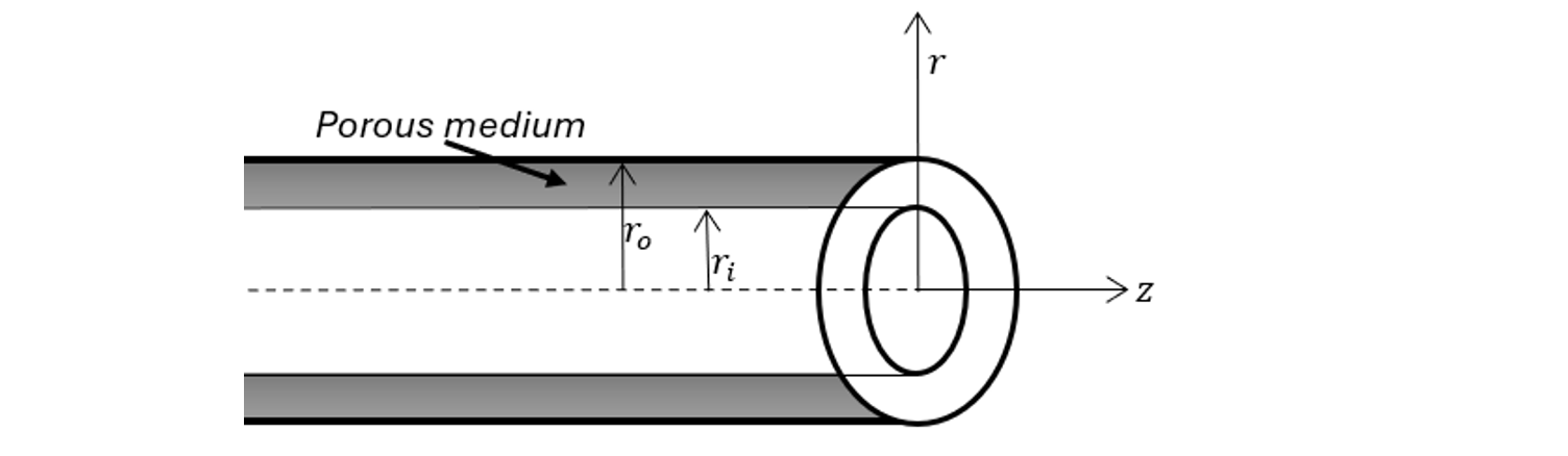Geometry of the porous concentric annulus and coordinate system