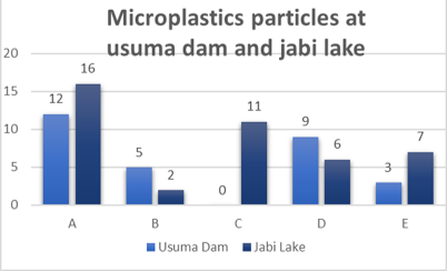 Chart Showing Microplastics Per Litre of Water Collected from Usuma Dam and Jabi Lake