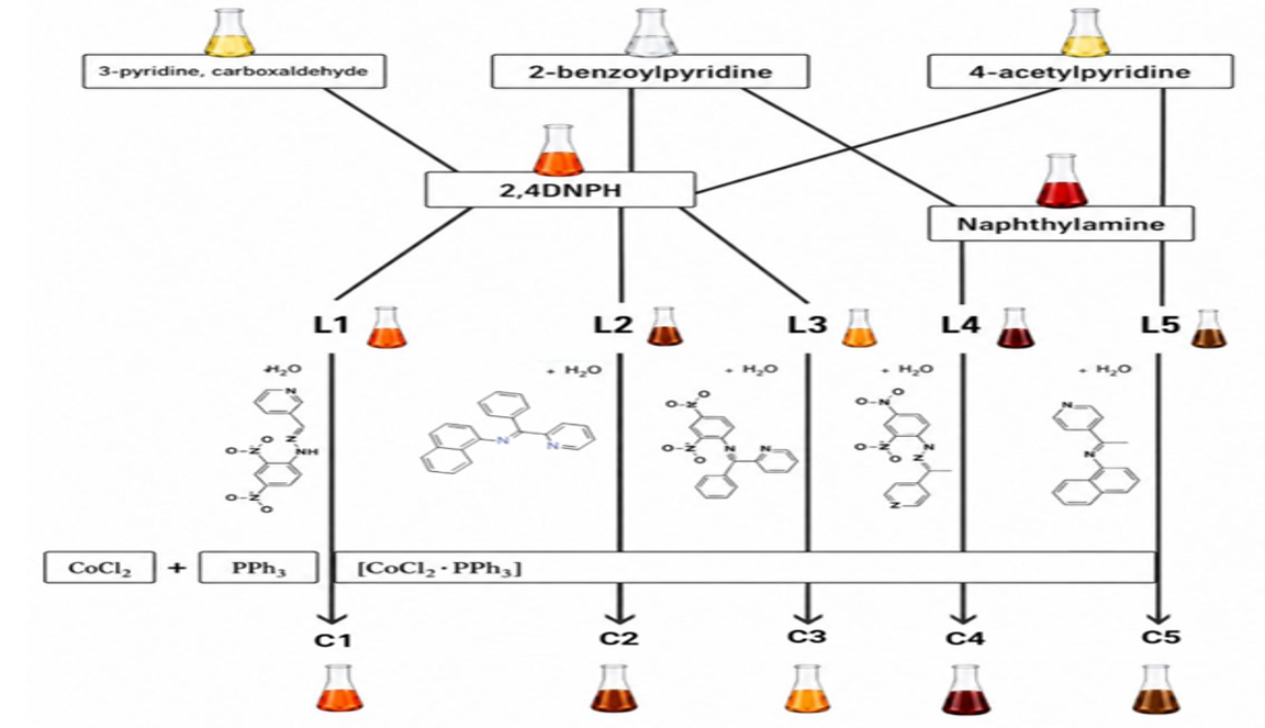 Schematic diagram of the synthesis procedure