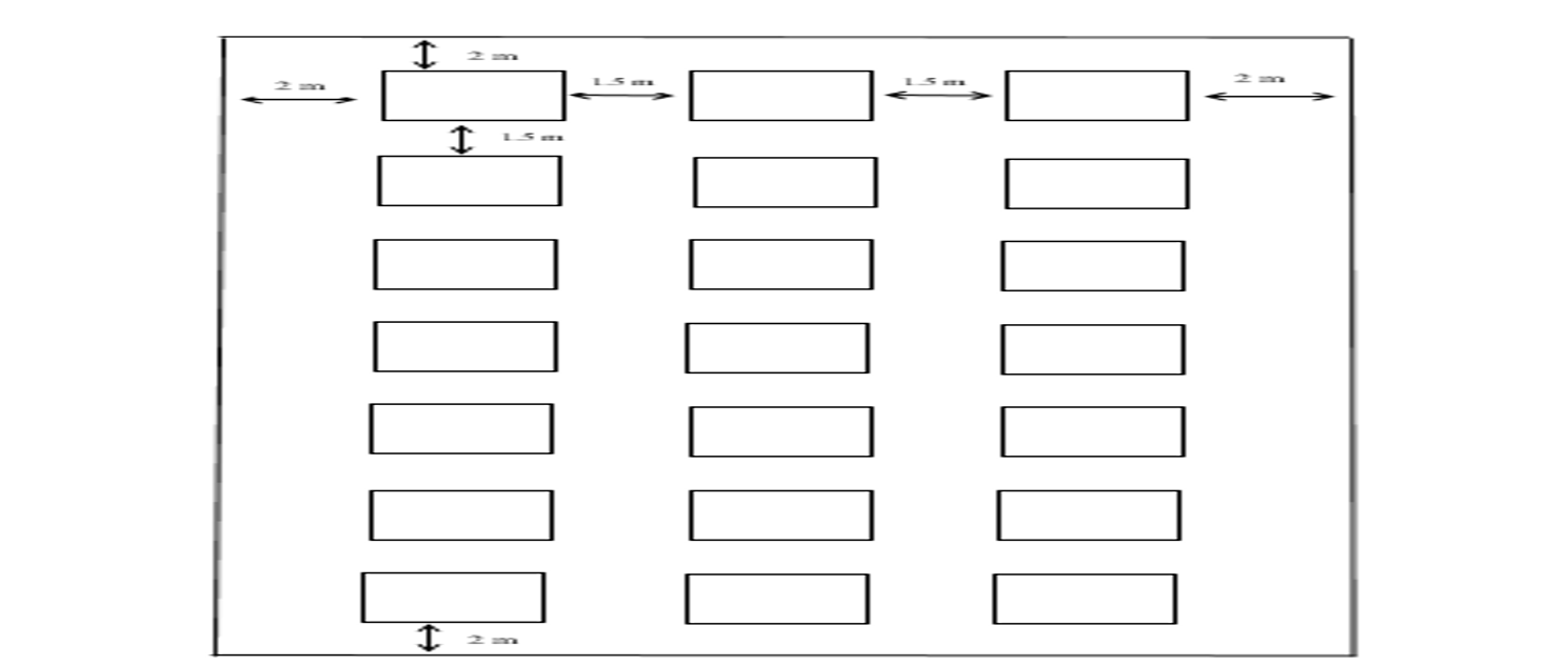 Experimental Layout