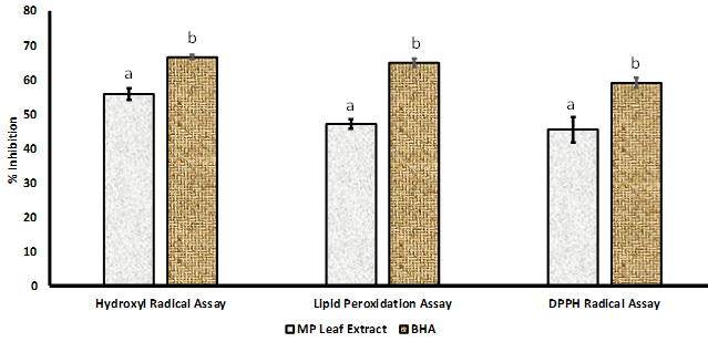 Hydroxyl, Lipid, and DPPH Radical Inhibitory Activities of MP Leaf Extract Using BHA as Standard Antioxidant