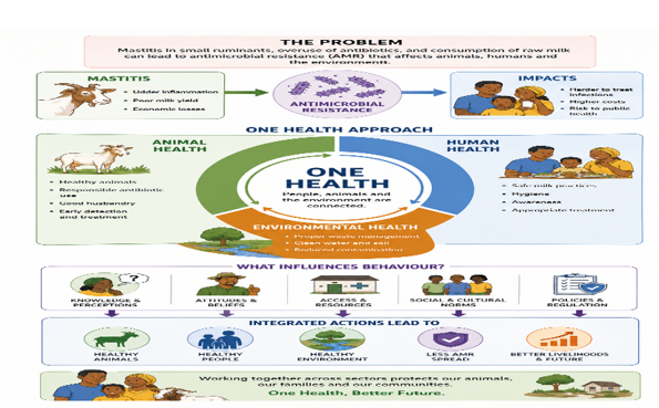 Illustration showing the One-Health Approach to AMR and Mastitis
