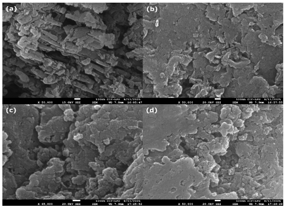 FESEM micrographs of (a) undoped g-C3N4, (b) C-doped g-C3N4@3.2wt%PANI, (c) C-doped g-C3N4@6.3wt%PANI, and (d) C-doped g-C3N4@9.1wt%PANI composites