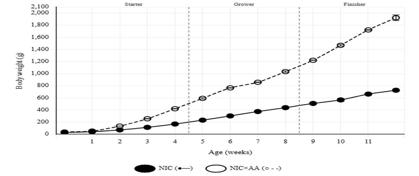 Growth trajectory of NIC and NICxAA