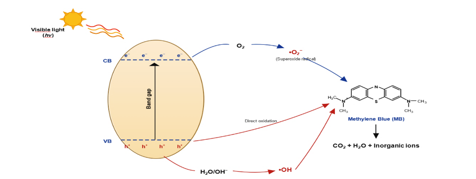 Schematic representation of the photocatalytic degradation of the MB dye, using GCN-550 photocatalyst under visible light irradiation