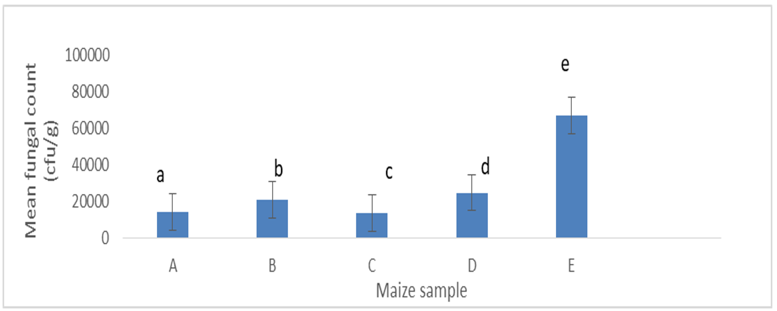 Mean fungal counts of the moulds in the maize samples