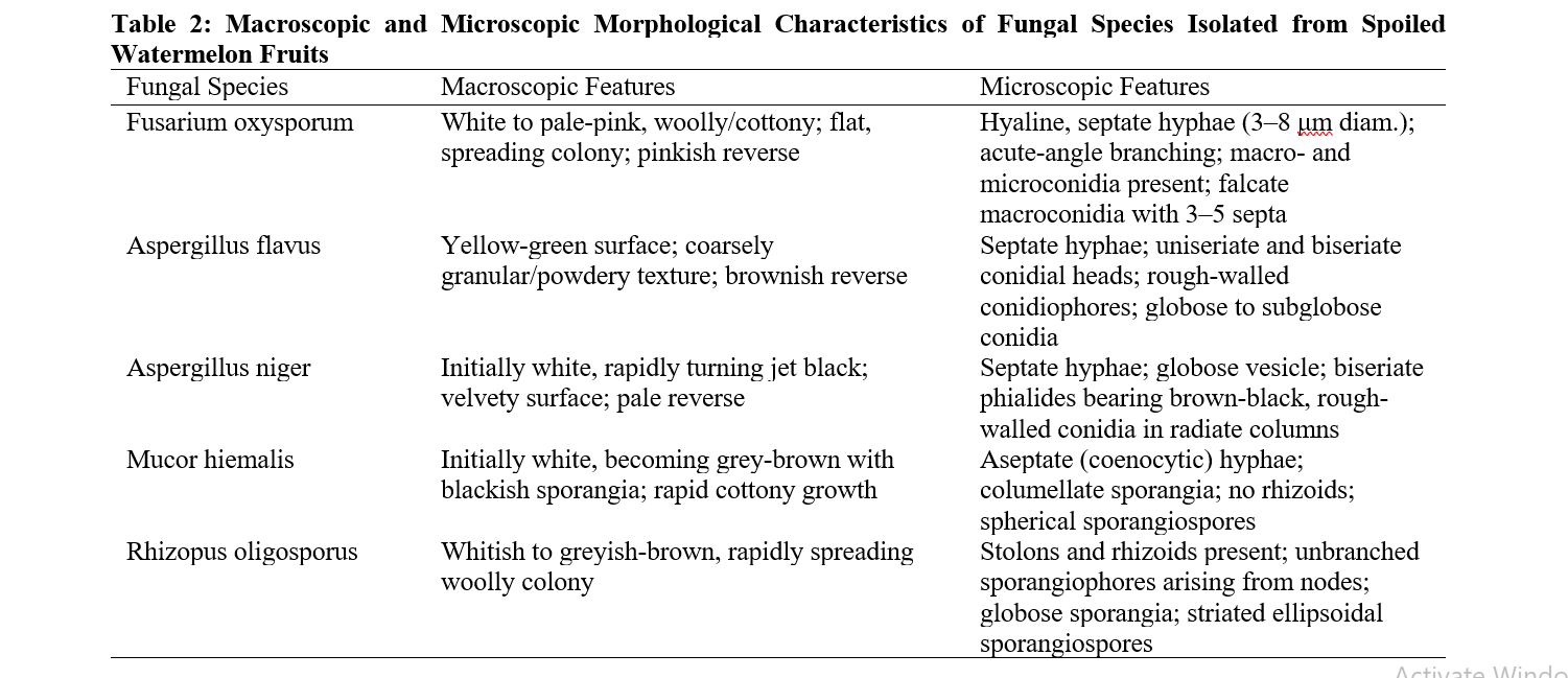 Macroscopic and Microscopic Morphological Characteristics of Fungal Species Isolated from Spoiled Watermelon Fruits
