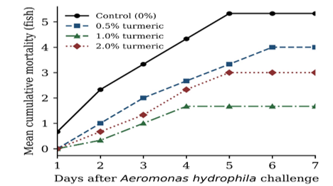 Mean Cumulative Mortality of Clarias Gariepinus Fed Diets Containing Graded Levels of Dietary Turmeric (0, 0.5, 1.0 and 2.0%) During the 7-day Period Following Experimental Aeromonas hydrophila Challenge. Values Represent the Mean Cumulative Number of Fish that Died per Replicate Tank (n = 3)
