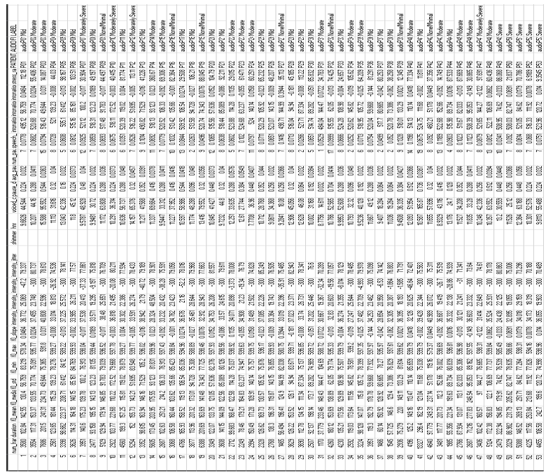 Extracted Acoustic and Prosodic Feature Elements of Participants