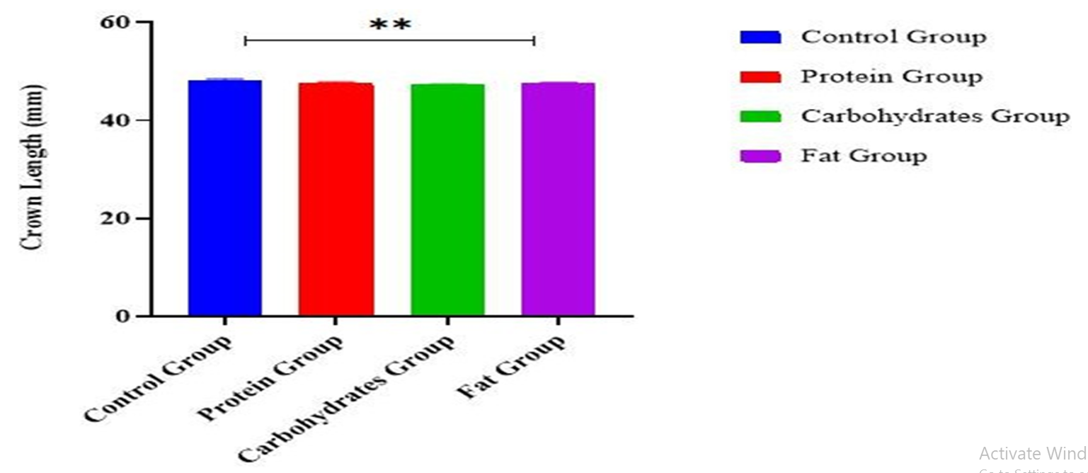 Effect of Macronutrient-Enriched Maternal Diets on Crown rump Length of Wistar Rat Pups