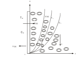 Geometry of the Flow for Porous Stretching Sheet